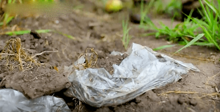 全球焦點|抓好源頭末端、注重回收利用，阻止“白色污染”繼續蔓延！